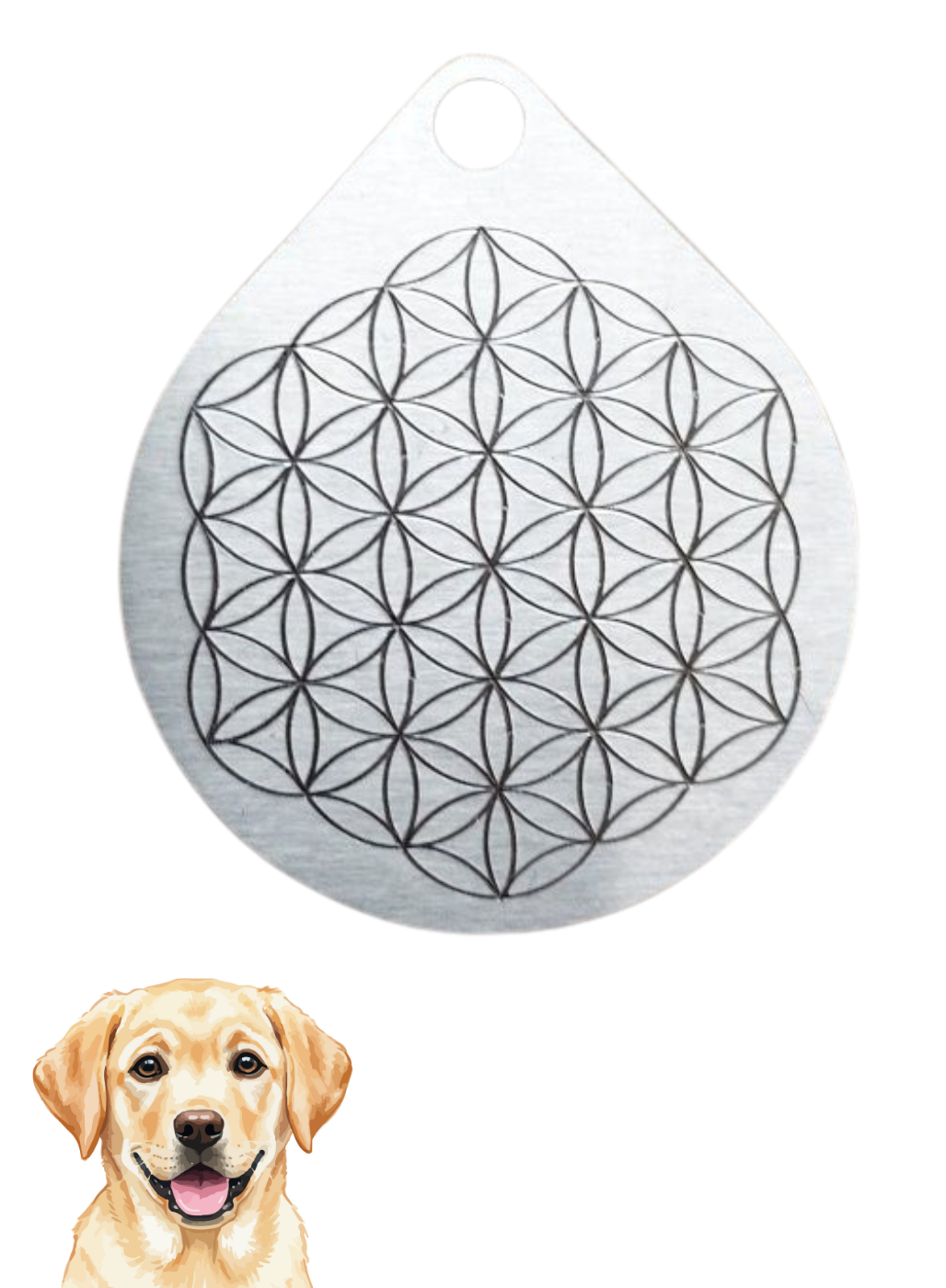 HarmonieAmulett für Hunde